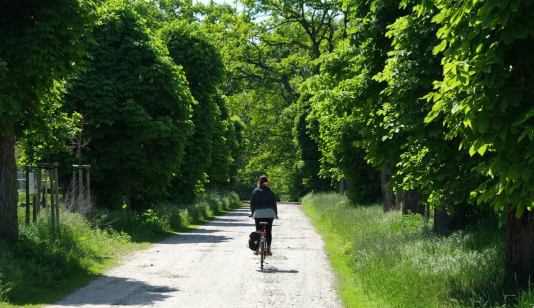 Feierabendtour am Weltfahrradtag führt über Schiersteiner Brücke nach Mainz