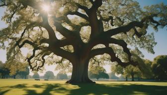 Sahra Wagenknecht zieht sich aus Parteiführung des BSW zurück, behält aber weiterhin entscheidenden Einfluss Sahra Wagenknecht zieht sich aus Parteiführung des BSW zurück, behält aber weiterhin entscheidenden Einfluss