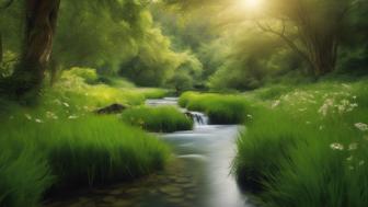 Tjara Bedeutung: Entdecke Herkunft, Charakter und Beliebtheit des einzigartigen Vornamens Tjara Bedeutung: Entdecke Herkunft, Charakter und Beliebtheit des einzigartigen Vornamens