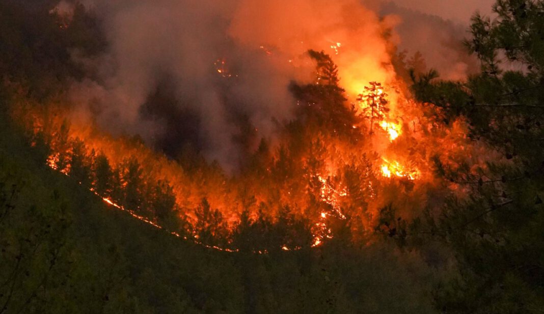 Waldbrandgefahr steigt auf höchste Stufe: Grillen auf städtischen Plätzen bleibt verboten