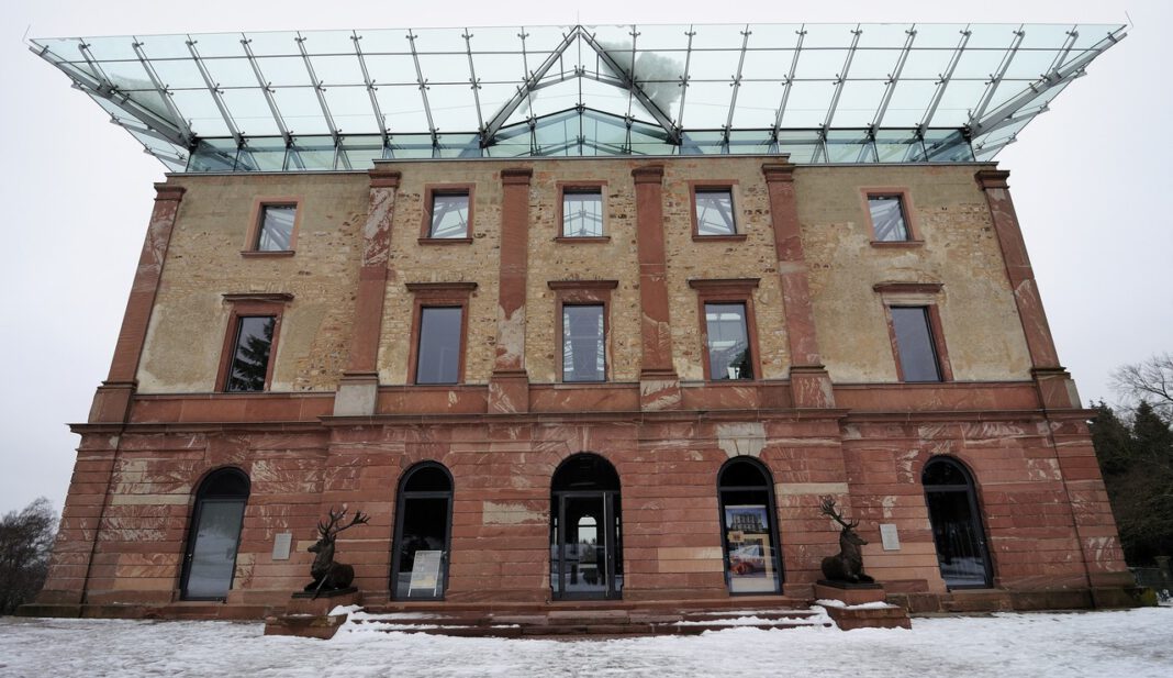 Weihnachtsbäume selbst schlagen: Stadtwald bietet zertifizierte Nordmanntannen an